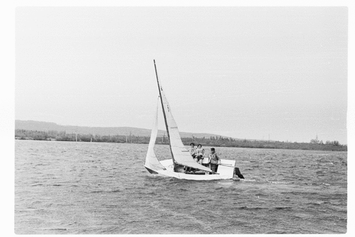 80195_5